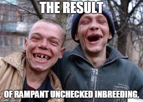 Ugly Twins | THE RESULT; OF RAMPANT UNCHECKED INBREEDING, | image tagged in memes,ugly twins | made w/ Imgflip meme maker