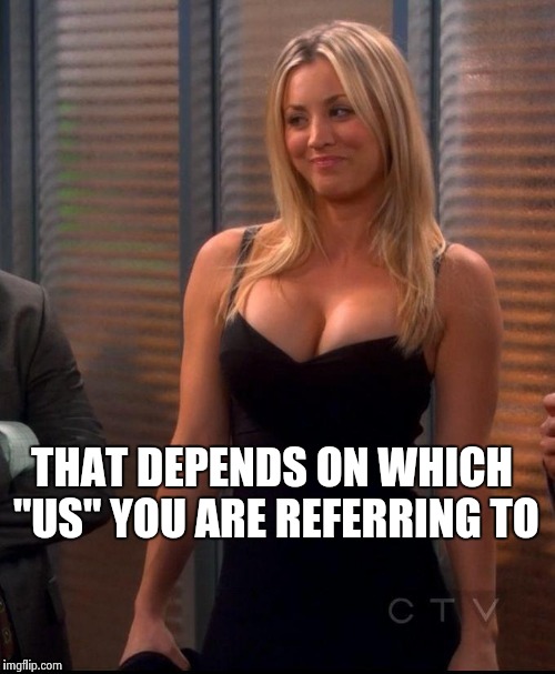 Hot Penny | THAT DEPENDS ON WHICH "US" YOU ARE REFERRING TO | image tagged in hot penny | made w/ Imgflip meme maker