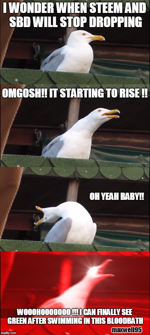 Inhaling Seagull | I WONDER WHEN STEEM AND SBD WILL STOP DROPPING; OMGOSH!! IT STARTING TO RISE !! OH YEAH BABY!! WOOOHOOOOOOO !!! I CAN FINALLY SEE GREEN AFTER SWIMMING IN THIS BLOODBATH; maxwell95 | image tagged in memes,inhaling seagull | made w/ Imgflip meme maker