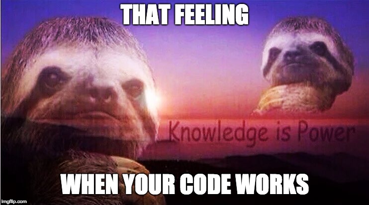 Sloth Knowledge is power | THAT FEELING; WHEN YOUR CODE WORKS | image tagged in sloth knowledge is power | made w/ Imgflip meme maker