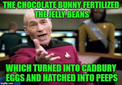 Where do peeps come from | THE CHOCOLATE BUNNY FERTILIZED THE JELLY BEANS; WHICH TURNED INTO CADBURY EGGS AND HATCHED INTO PEEPS | image tagged in memes,picard wtf | made w/ Imgflip meme maker