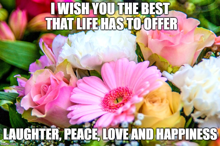 I WISH YOU THE BEST THAT LIFE HAS TO OFFER; LAUGHTER, PEACE, LOVE AND HAPPINESS | image tagged in flowers,love,happiness,peace | made w/ Imgflip meme maker