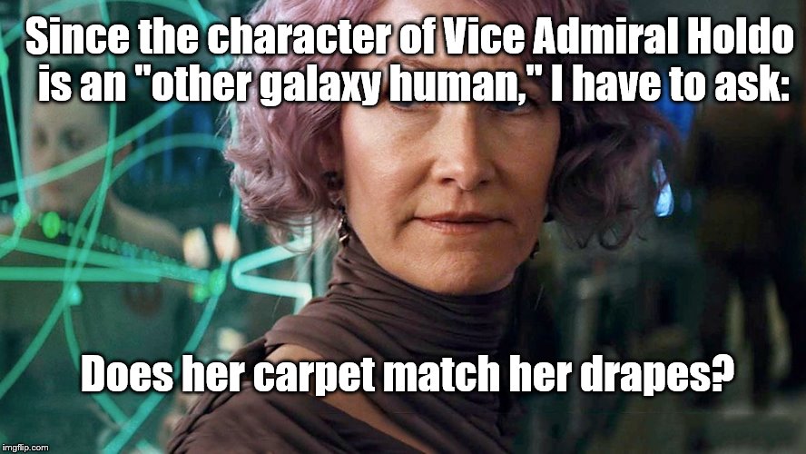 Do other galactic women have different natural colors? | Since the character of Vice Admiral Holdo is an "other galaxy human," I have to ask:; Does her carpet match her drapes? | image tagged in star wars | made w/ Imgflip meme maker