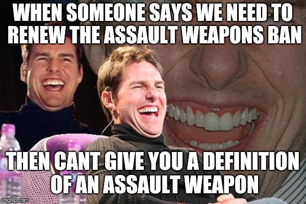 crazy t | WHEN SOMEONE SAYS WE NEED TO RENEW THE ASSAULT WEAPONS BAN; THEN CANT GIVE YOU A DEFINITION OF AN ASSAULT WEAPON | image tagged in guns | made w/ Imgflip meme maker