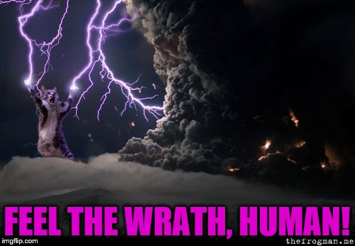 FEEL THE WRATH, HUMAN! | made w/ Imgflip meme maker