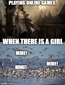 (Video Games Week) April 2-9th Royal Plutonian Event | PLAYING ONLINE GAMES; WHEN THERE IS A GIRL; MINE! MINE! MINE! | image tagged in paladin,flock,mine,girl | made w/ Imgflip meme maker