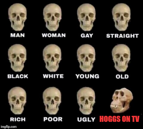 idiot skull | HOGGS ON TV | image tagged in idiot skull | made w/ Imgflip meme maker