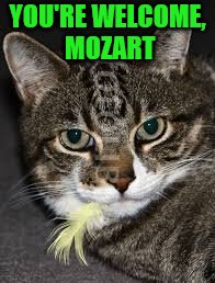 YOU'RE WELCOME, MOZART | made w/ Imgflip meme maker