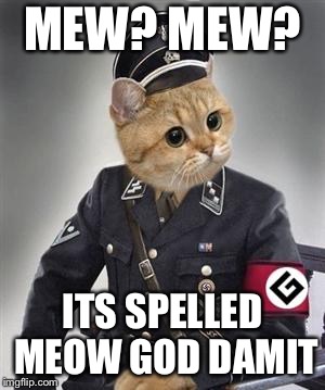 Grammar Nazi Cat | MEW? MEW? ITS SPELLED MEOW GOD DAMIT | image tagged in grammar nazi cat | made w/ Imgflip meme maker