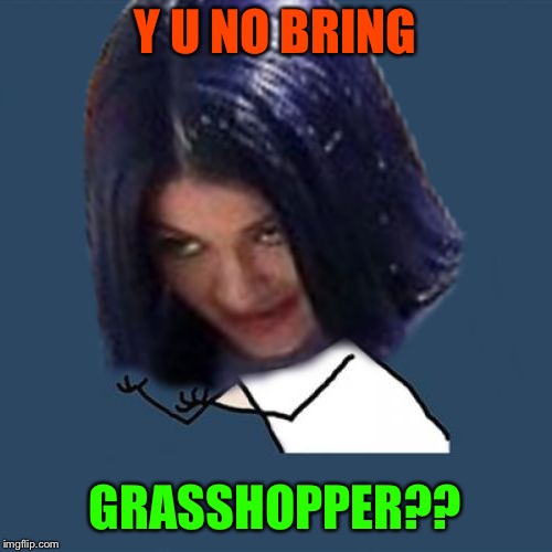 Kylie Y U No | Y U NO BRING GRASSHOPPER?? | image tagged in kylie y u no | made w/ Imgflip meme maker