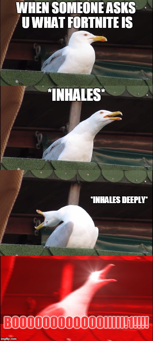 Inhaling Seagull Meme | WHEN SOMEONE ASKS U WHAT FORTNITE IS; *INHALES*; *INHALES DEEPLY*; BOOOOOOOOOOOOIIIII!1!!!! | image tagged in memes,inhaling seagull | made w/ Imgflip meme maker
