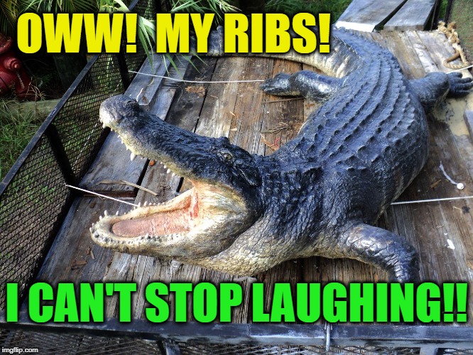 OWW!  MY RIBS! I CAN'T STOP LAUGHING!! | made w/ Imgflip meme maker