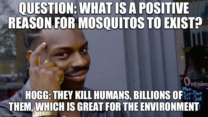 Roll Safe Think About It Meme | QUESTION: WHAT IS A POSITIVE REASON FOR MOSQUITOS TO EXIST? HOGG: THEY KILL HUMANS, BILLIONS OF THEM, WHICH IS GREAT FOR THE ENVIRONMENT | image tagged in memes,roll safe think about it | made w/ Imgflip meme maker