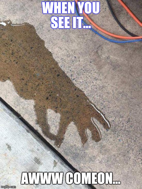 Well played puddle. Well played  | WHEN YOU SEE IT... AWWW COMEON... | image tagged in goat,when you see it,hahaha,gotcha | made w/ Imgflip meme maker