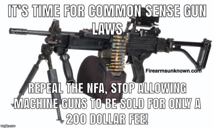 Repeal NFA | image tagged in repeal nfa,common sense gun laws | made w/ Imgflip meme maker