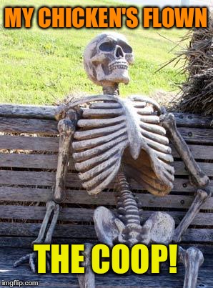 Waiting Skeleton Meme | MY CHICKEN'S FLOWN THE COOP! | image tagged in memes,waiting skeleton | made w/ Imgflip meme maker