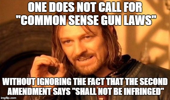 One Does Not Simply Meme | ONE DOES NOT CALL FOR "COMMON SENSE GUN LAWS" WITHOUT IGNORING THE FACT THAT THE SECOND AMENDMENT SAYS "SHALL NOT BE INFRINGED" | image tagged in memes,one does not simply | made w/ Imgflip meme maker