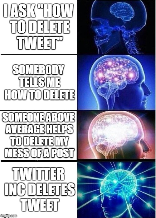 Expanding Brain Meme | I ASK "HOW TO DELETE TWEET"; SOMEBODY TELLS ME HOW TO DELETE; SOMEONE ABOVE AVERAGE HELPS TO DELETE MY MESS OF A POST; TWITTER INC DELETES TWEET | image tagged in memes,expanding brain | made w/ Imgflip meme maker