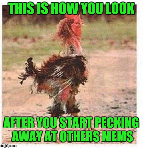 A Chicken week meme event | THIS IS HOW YOU LOOK; AFTER YOU START PECKING AWAY AT OTHERS MEMS | image tagged in mangled chicken,reposts,original meme,bad memes,political meme,gun control | made w/ Imgflip meme maker