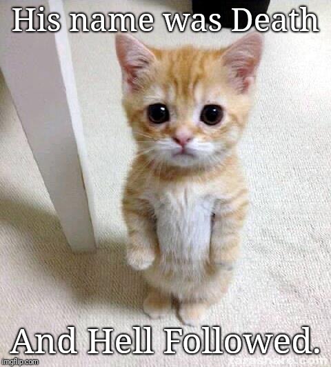 Cute Cat Meme | His name was Death; And Hell Followed. | image tagged in memes,cute cat | made w/ Imgflip meme maker