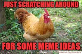 Chicken Week, April 2-8, a JBmemegeek & giveuahint event! | JUST SCRATCHING AROUND; FOR SOME MEME IDEAS | image tagged in chicken week | made w/ Imgflip meme maker