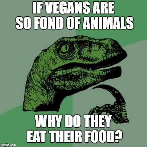 Philosoraptor Meme | IF VEGANS ARE SO FOND OF ANIMALS; WHY DO THEY EAT THEIR FOOD? | image tagged in memes,philosoraptor | made w/ Imgflip meme maker
