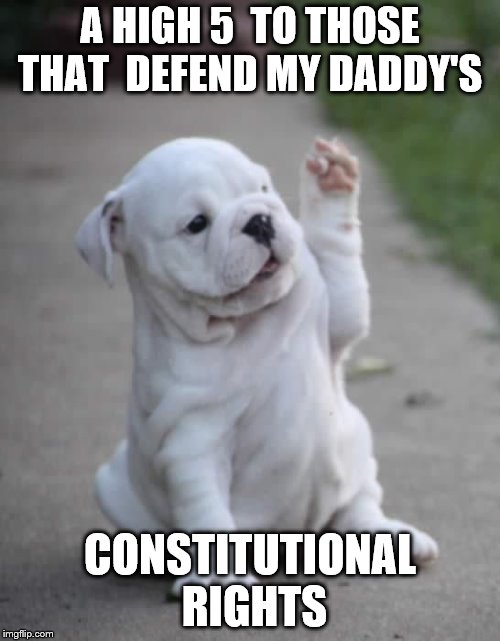 Puppy High Five  | A HIGH 5  TO THOSE THAT  DEFEND MY DADDY'S; CONSTITUTIONAL RIGHTS | image tagged in puppy high five | made w/ Imgflip meme maker