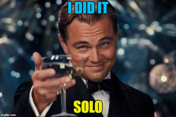 Leonardo Dicaprio Cheers Meme | I DID IT SOLO | image tagged in memes,leonardo dicaprio cheers | made w/ Imgflip meme maker