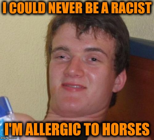 10 Guy Meme | I COULD NEVER BE A RACIST; I'M ALLERGIC TO HORSES | image tagged in memes,10 guy | made w/ Imgflip meme maker