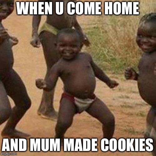 Third World Success Kid |  WHEN U COME HOME; AND MUM MADE COOKIES | image tagged in memes,third world success kid | made w/ Imgflip meme maker
