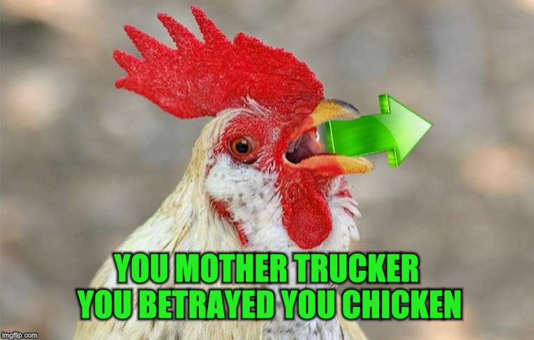 YOU MOTHER TRUCKER YOU BETRAYED YOU CHICKEN | made w/ Imgflip meme maker