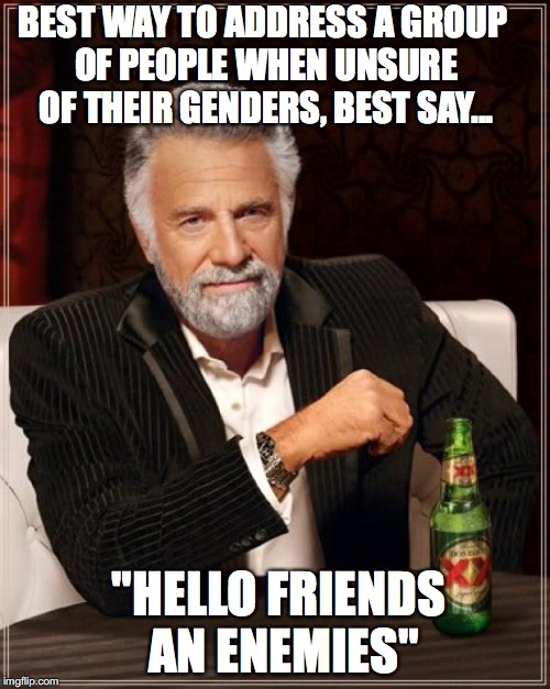 A Simple Solution | BEST WAY TO ADDRESS A GROUP OF PEOPLE WHEN UNSURE OF THEIR GENDERS, BEST SAY... "HELLO FRIENDS AN ENEMIES" | image tagged in memes,the most interesting man in the world,gender confusion,speech | made w/ Imgflip meme maker