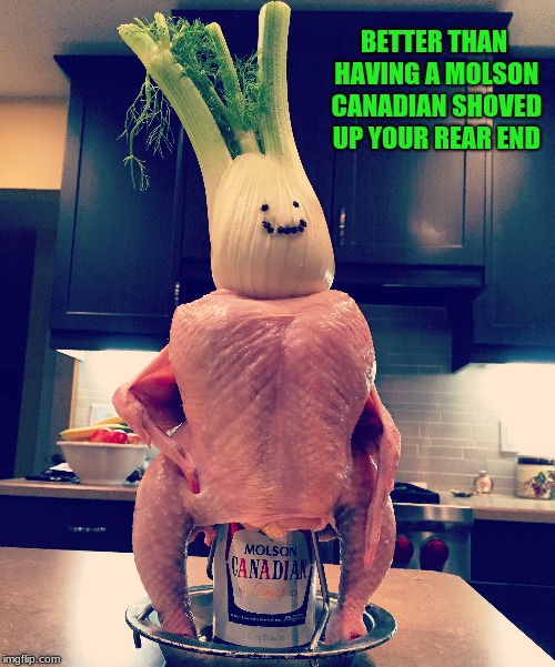 BETTER THAN HAVING A MOLSON CANADIAN SHOVED UP YOUR REAR END | made w/ Imgflip meme maker