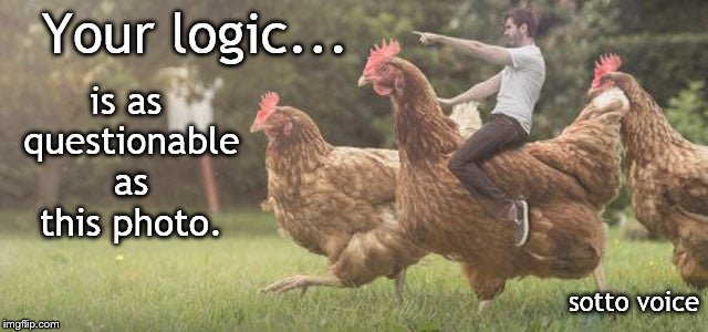 Your logic... is as questionable as this photo. sotto voice | image tagged in chix | made w/ Imgflip meme maker