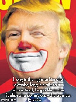 Donald Trump the Clown | Long is the night to him who is awake; long is a mile to him who is tired; long is life to the foolish who do not know the true law. Buddha | image tagged in donald trump the clown | made w/ Imgflip meme maker