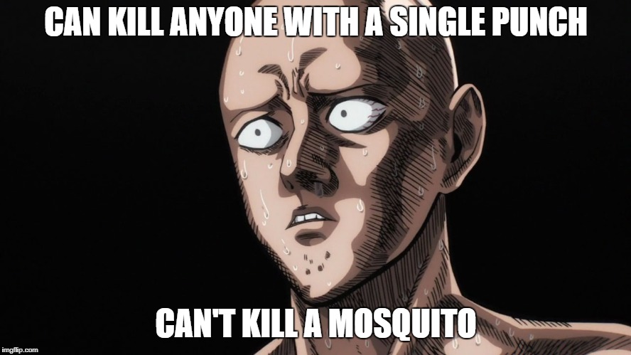 Saitama | CAN KILL ANYONE WITH A SINGLE PUNCH; CAN'T KILL A MOSQUITO | image tagged in saitama | made w/ Imgflip meme maker