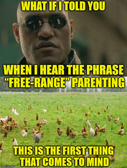 Sounds like we're raising chickens | WHAT IF I TOLD YOU; WHEN I HEAR THE PHRASE “FREE-RANGE” PARENTING; THIS IS THE FIRST THING THAT COMES TO MIND | image tagged in free range,memes,parenting,chickens,children,what if i told you | made w/ Imgflip meme maker
