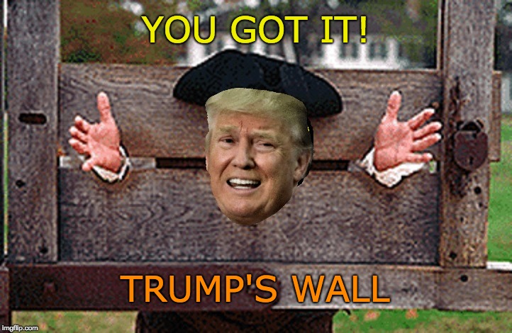 Trump's Wall | YOU GOT IT! TRUMP'S WALL | image tagged in trump in stocks,trump wall,trump fail,donald trump is an idiot,trump trademark,trump | made w/ Imgflip meme maker