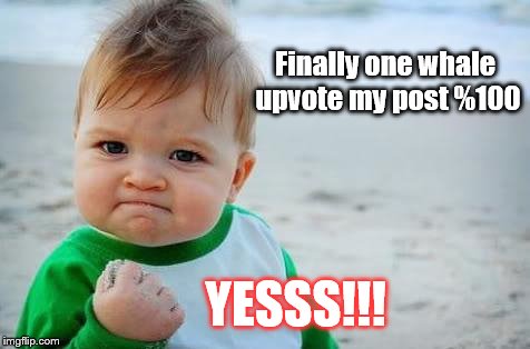 Fist pump baby | Finally one whale upvote my post %100; YESSS!!! | image tagged in fist pump baby | made w/ Imgflip meme maker
