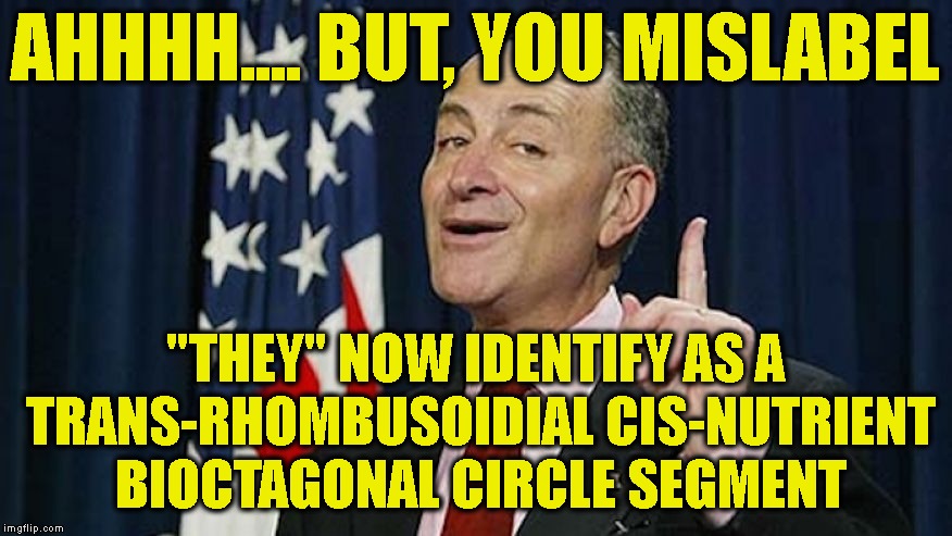 AHHHH.... BUT, YOU MISLABEL "THEY" NOW IDENTIFY AS A TRANS-RHOMBUSOIDIAL CIS-NUTRIENT BIOCTAGONAL CIRCLE SEGMENT | made w/ Imgflip meme maker