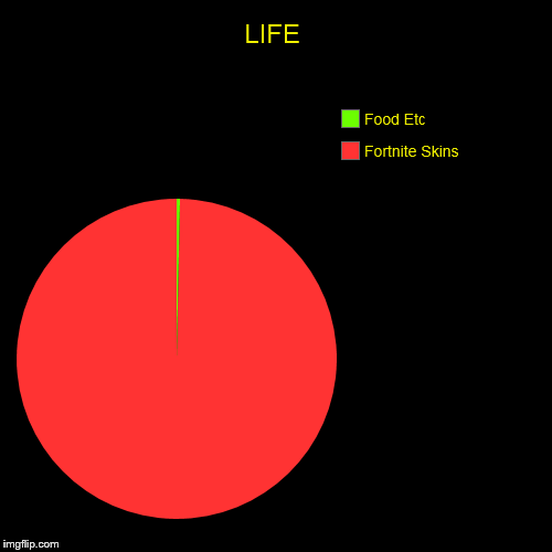 LIFE | Fortnite Skins, Food Etc | image tagged in funny,pie charts | made w/ Imgflip chart maker