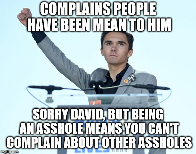 David Hogg | COMPLAINS PEOPLE HAVE BEEN MEAN TO HIM; SORRY DAVID, BUT BEING AN ASSHOLE MEANS YOU CAN'T COMPLAIN ABOUT OTHER ASSHOLES | image tagged in david hogg | made w/ Imgflip meme maker