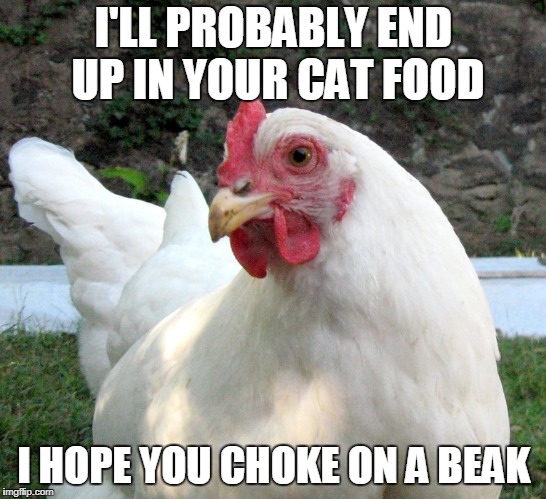 I'LL PROBABLY END UP IN YOUR CAT FOOD I HOPE YOU CHOKE ON A BEAK | made w/ Imgflip meme maker