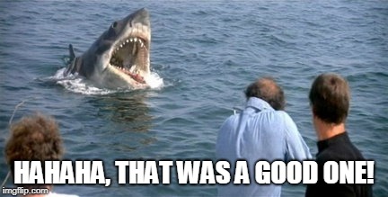 Even Sharks Find it Funny | HAHAHA, THAT WAS A GOOD ONE! | image tagged in laugh,shark,amused | made w/ Imgflip meme maker