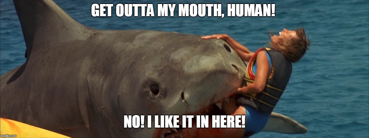 GET OUTTA MY MOUTH, HUMAN! NO! I LIKE IT IN HERE! | image tagged in jaws,weird,shark | made w/ Imgflip meme maker
