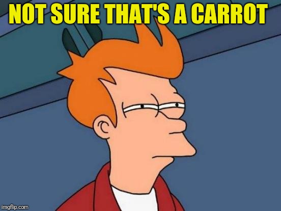 Futurama Fry Meme | NOT SURE THAT'S A CARROT | image tagged in memes,futurama fry | made w/ Imgflip meme maker