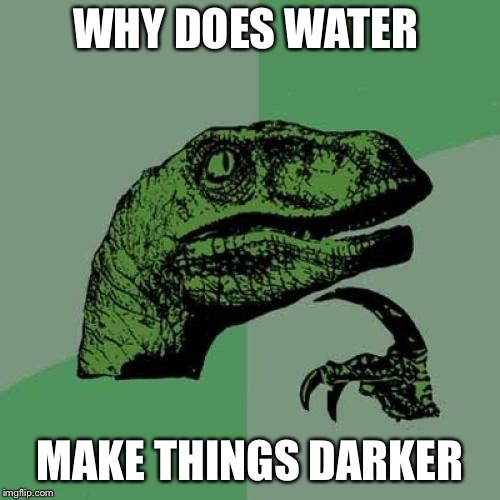 Philosoraptor | WHY DOES WATER; MAKE THINGS DARKER | image tagged in memes,philosoraptor | made w/ Imgflip meme maker