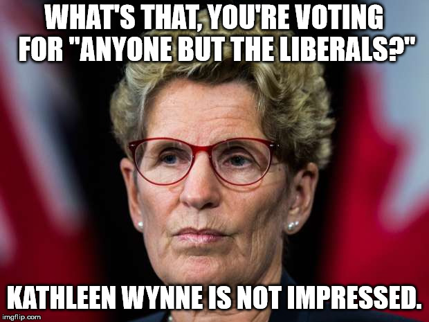 Kathleen Wynne | WHAT'S THAT, YOU'RE VOTING FOR "ANYONE BUT THE LIBERALS?"; KATHLEEN WYNNE IS NOT IMPRESSED. | image tagged in kathleen wynne | made w/ Imgflip meme maker