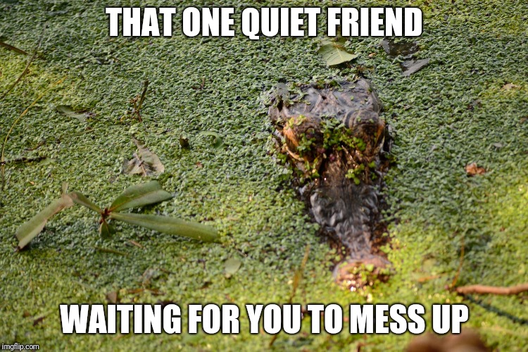 THAT ONE QUIET FRIEND; WAITING FOR YOU TO MESS UP | image tagged in aligator | made w/ Imgflip meme maker