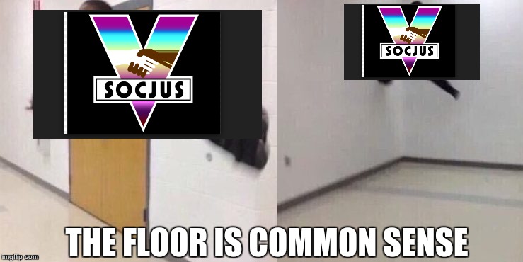 The Floor is Lava | THE FLOOR IS COMMON SENSE | image tagged in the floor is lava | made w/ Imgflip meme maker